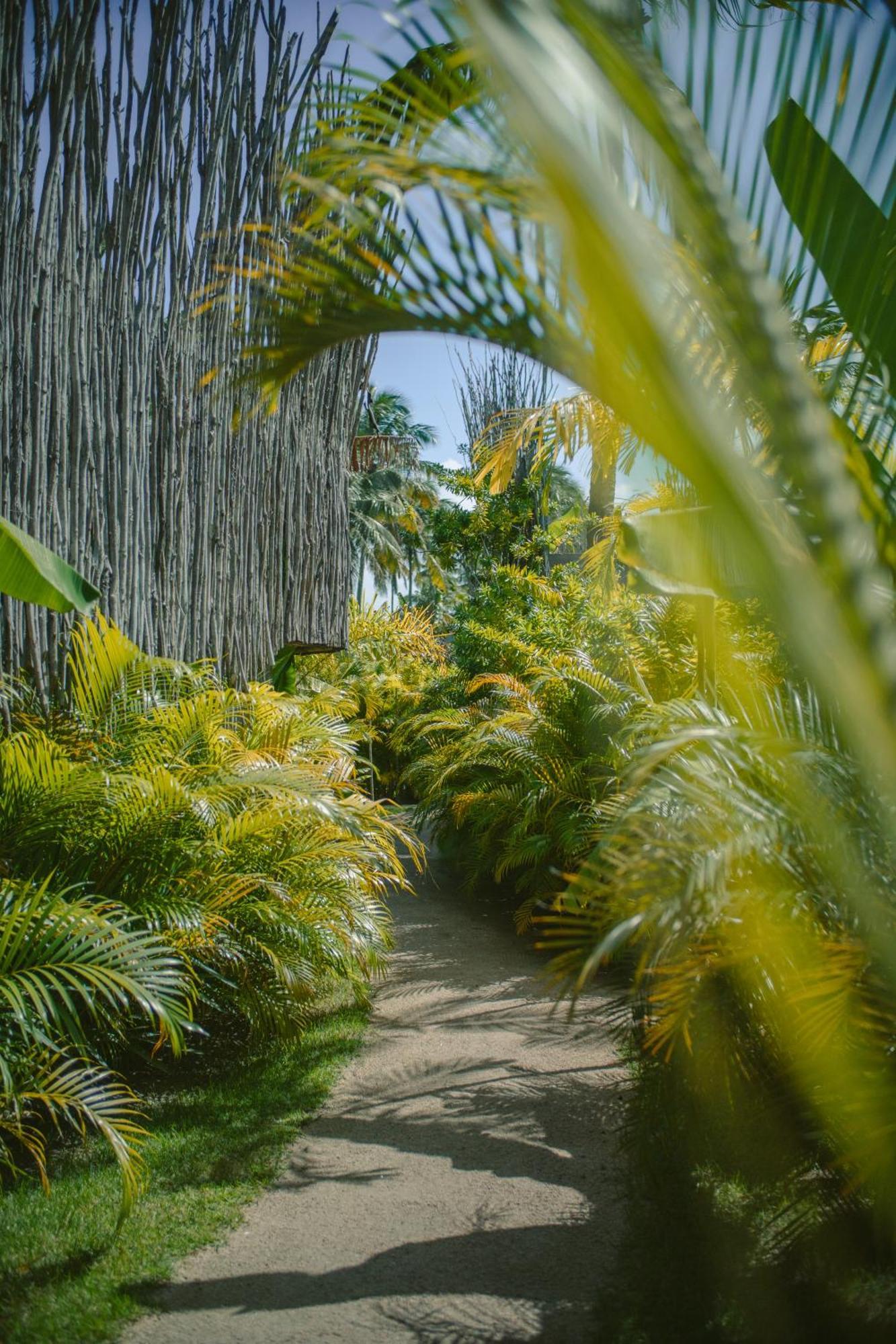 ホテル Zai Patacho Pôrto de Pedras エクステリア 写真